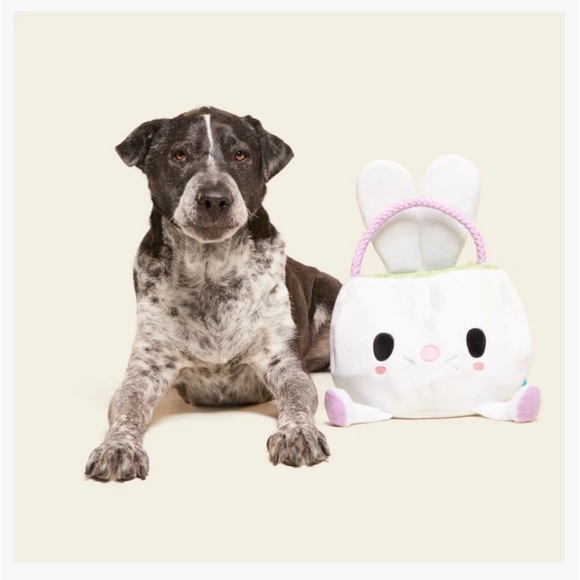 NEW XL BARK SQUEACKSTERS BUNNY BASKET.❤️DON’T FORGET YOUR PUP’S EASTER BASKET❣️ - Picture 4 of 11